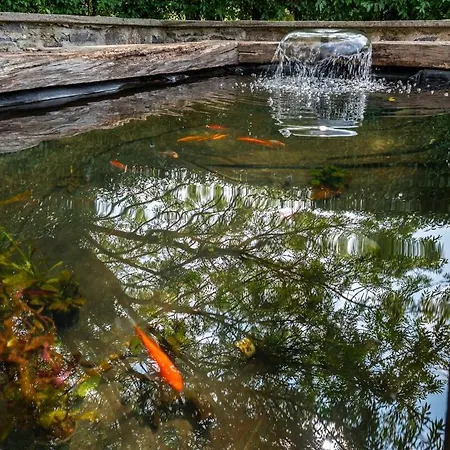 Charming Getaway Feriehus *